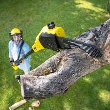 Best Lawn Pest Prevention  in Alva, OK