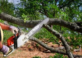 Landscape Design and Installation in Alva, OK